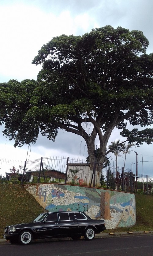 BILINGUAL SCHOOL. COSTA RICA CLASSIC MERCEDES LIMO CITY TOURS.
